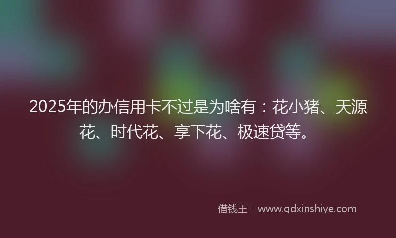 2025年的办信用卡不过是为啥有：花小猪、天源花、时代花、享下花、极速贷等。