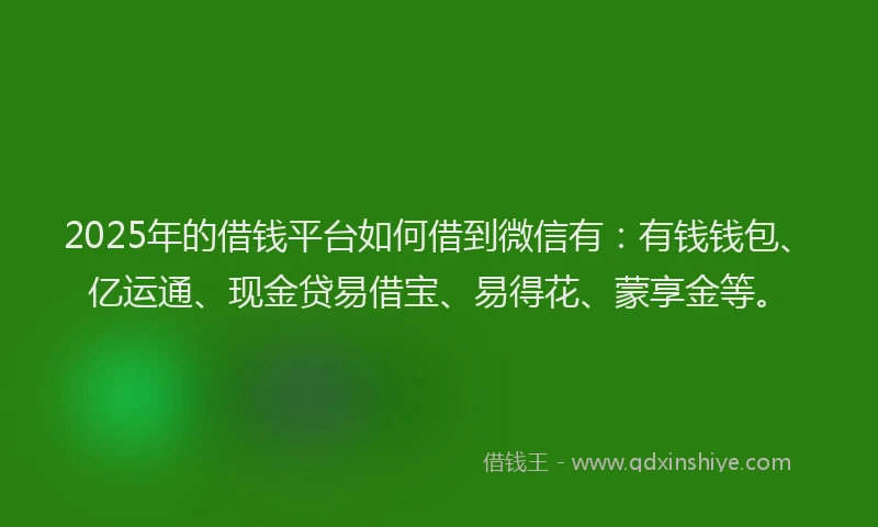 2025年的借钱平台如何借到微信有：有钱钱包、亿运通、现金贷易借宝、易得花、蒙享金等。