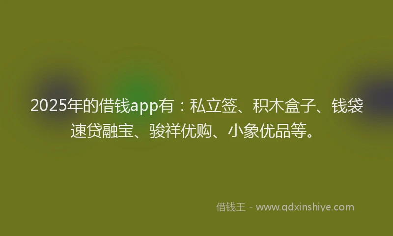 2025年的借钱app有：私立签、积木盒子、钱袋速贷融宝、骏祥优购、小象优品等。