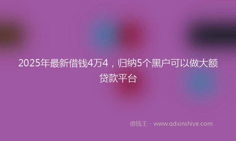2025年最新借钱4万4，归纳5个黑户可以做大额贷款平台
