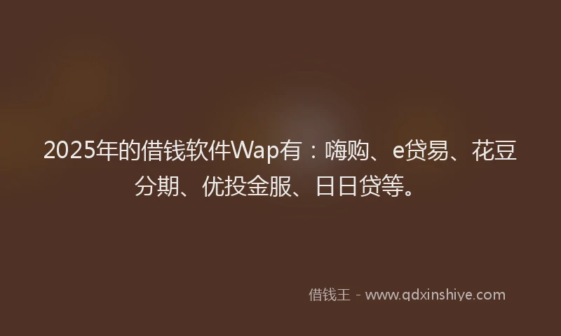 2025年的借钱软件Wap有：嗨购、e贷易、花豆分期、优投金服、日日贷等。