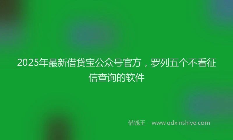 2025年最新借贷宝公众号官方，罗列五个不看征信查询的软件