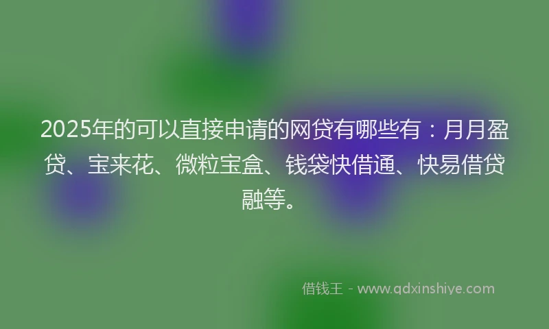2025年的可以直接申请的网贷有哪些有：月月盈贷、宝来花、微粒宝盒、钱袋快借通、快易借贷融等。
