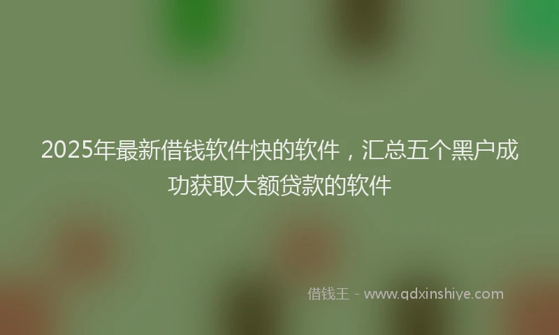 2025年最新借钱软件快的软件,汇总五个黑户成功获取大额贷款的软件