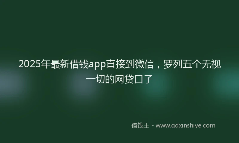 2025年最新借钱app直接到微信，罗列五个无视一切的网贷口子