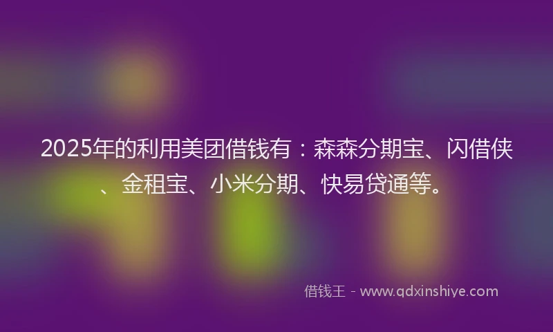 2025年的利用美团借钱有：森森分期宝、闪借侠、金租宝、小米分期、快易贷通等。