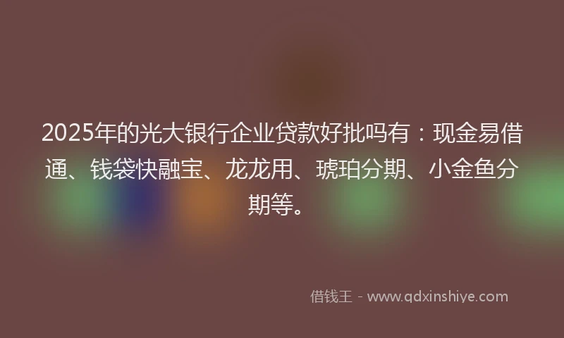 2025年的光大银行企业贷款好批吗有：现金易借通、钱袋快融宝、龙龙用、琥珀分期、小金鱼分期等。