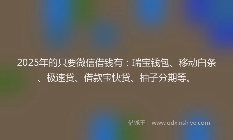 2025年的只要微信借钱有：瑞宝钱包、移动白条、极速贷、借款宝快贷、柚子分期等。