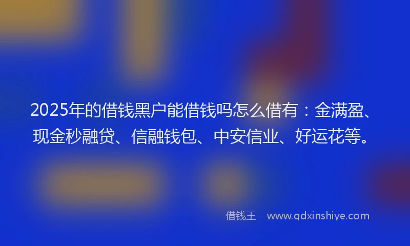 2025年的借钱黑户能借钱吗怎么借有：金满盈、现金秒融贷、信融钱包、中安信业、好运花等。