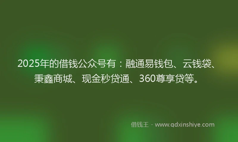 2025年的借钱公众号有：融通易钱包、云钱袋、秉鑫商城、现金秒贷通、360尊享贷等。