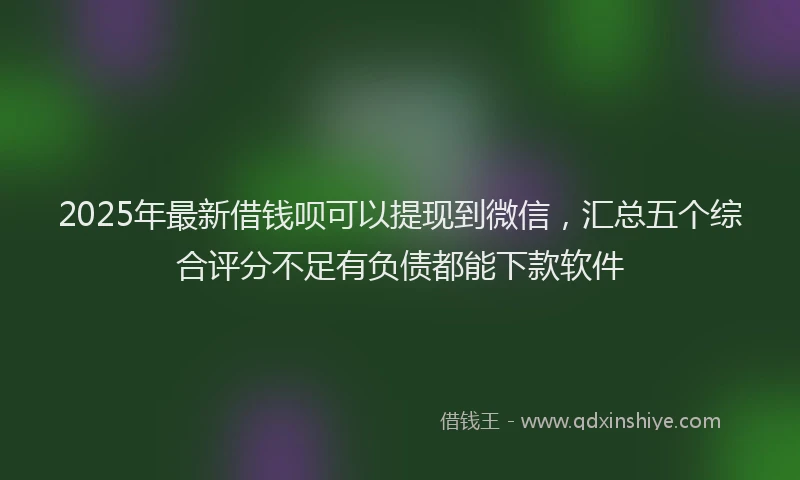 2025年最新借钱呗可以提现到微信，汇总五个综合评分不足有负债都能下款软件