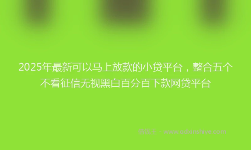 2025年最新可以马上放款的小贷平台，整合五个不看征信无视黑白百分百下款网贷平台