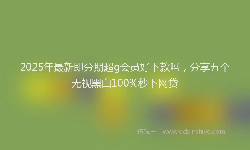 2025年最新即分期超g会员好下款吗，分享五个无视黑白100%秒下网贷
