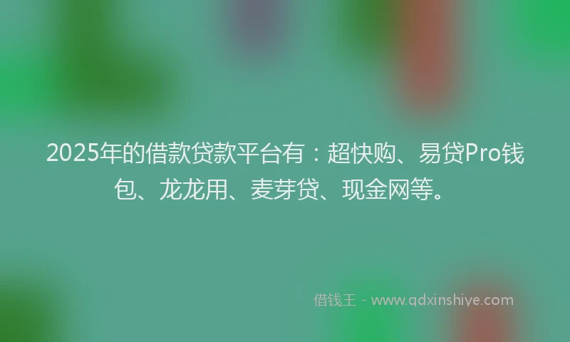 2025年的借款贷款平台有：超快购、易贷Pro钱包、龙龙用、麦芽贷、现金网等。