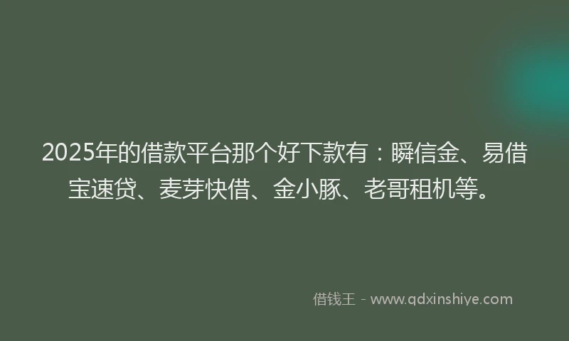 2025年的借款平台那个好下款有：瞬信金、易借宝速贷、麦芽快借、金小豚、老哥租机等。