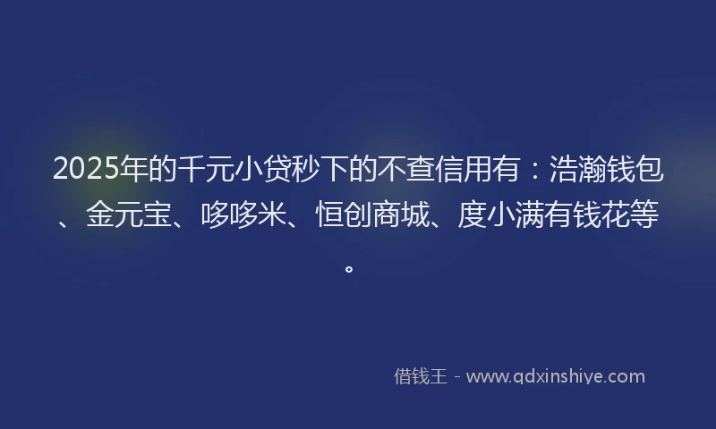 2025年的千元小贷秒下的不查信用有：浩瀚钱包、金元宝、哆哆米、恒创商城、度小满有钱花等。