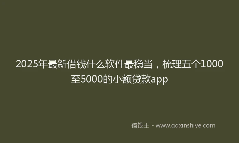 2025年最新借钱什么软件最稳当，梳理五个1000至5000的小额贷款app