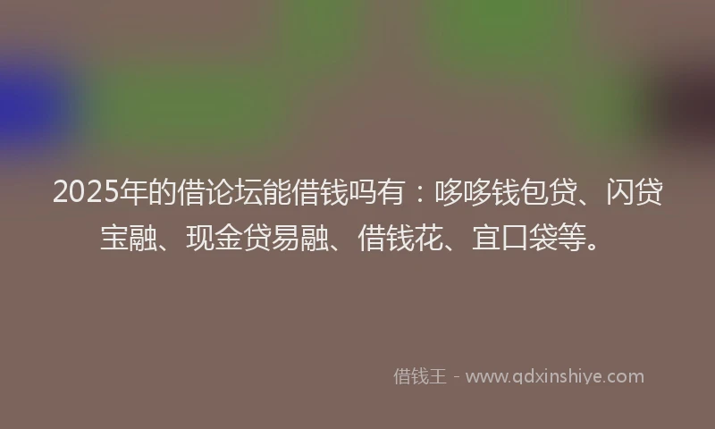 2025年的借论坛能借钱吗有：哆哆钱包贷、闪贷宝融、现金贷易融、借钱花、宜口袋等。