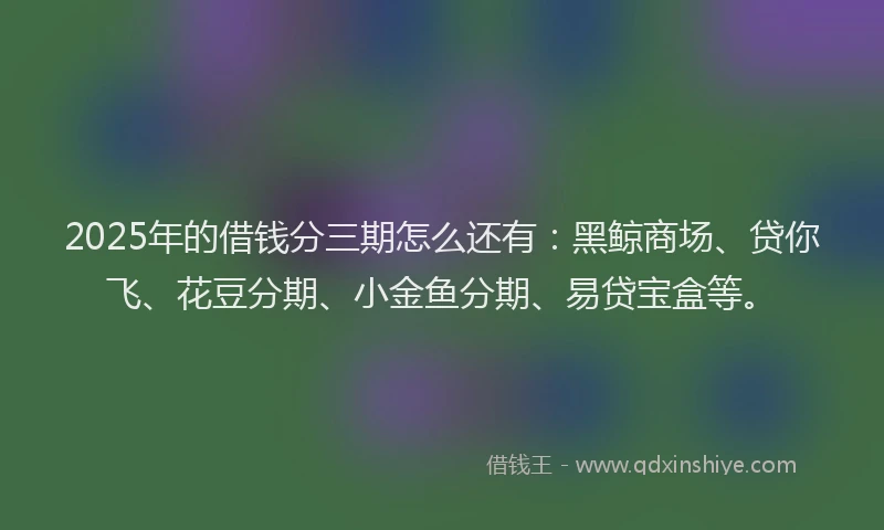 2025年的借钱分三期怎么还有：黑鲸商场、贷你飞、花豆分期、小金鱼分期、易贷宝盒等。