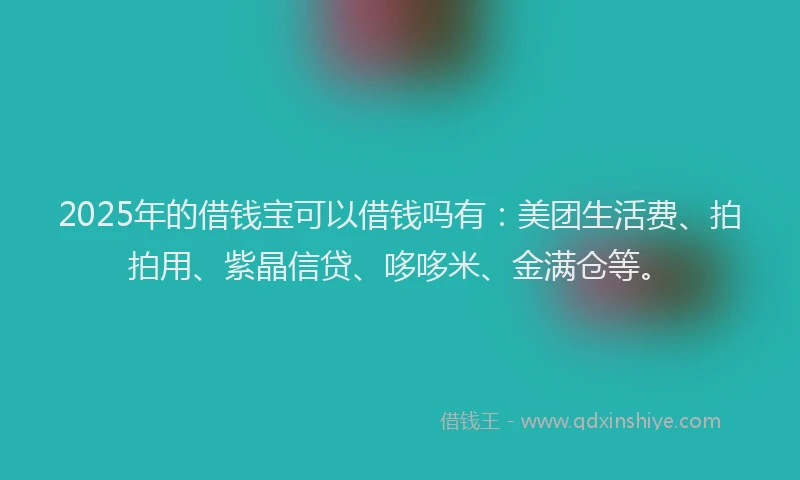 2025年的借钱宝可以借钱吗有：美团生活费、拍拍用、紫晶信贷、哆哆米、金满仓等。