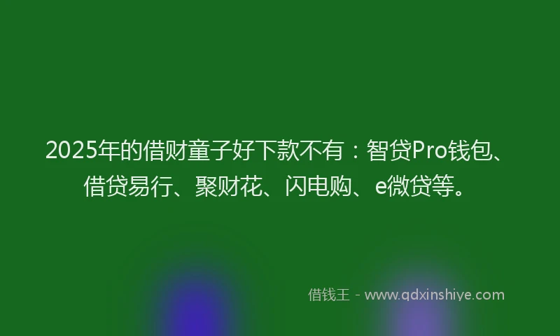 2025年的借财童子好下款不有：智贷Pro钱包、借贷易行、聚财花、闪电购、e微贷等。