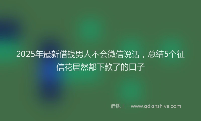 2025年最新借钱男人不会微信说话，总结5个征信花居然都下款了的口子