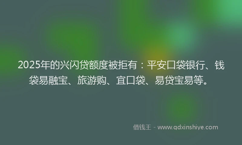 2025年的兴闪贷额度被拒有：平安口袋银行、钱袋易融宝、旅游购、宜口袋、易贷宝易等。