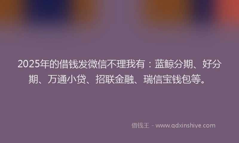 2025年的借钱发微信不理我有：蓝鲸分期、好分期、万通小贷、招联金融、瑞信宝钱包等。