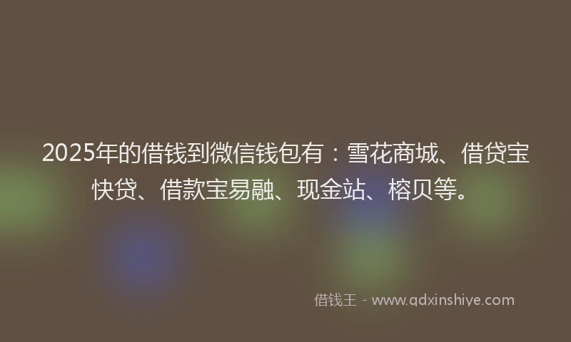 2025年的借钱到微信钱包有：雪花商城、借贷宝快贷、借款宝易融、现金站、榕贝等。