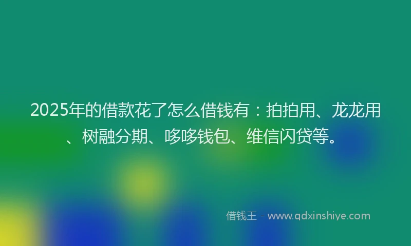 2025年的借款花了怎么借钱有：拍拍用、龙龙用、树融分期、哆哆钱包、维信闪贷等。