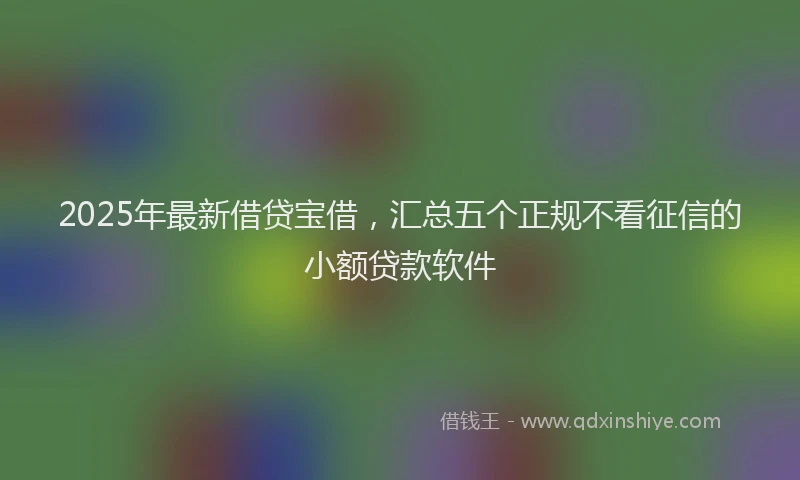 2025年最新借贷宝借，汇总五个正规不看征信的小额贷款软件