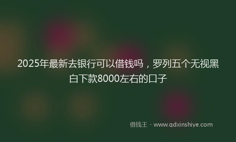 2025年最新去银行可以借钱吗，罗列五个无视黑白下款8000左右的口子