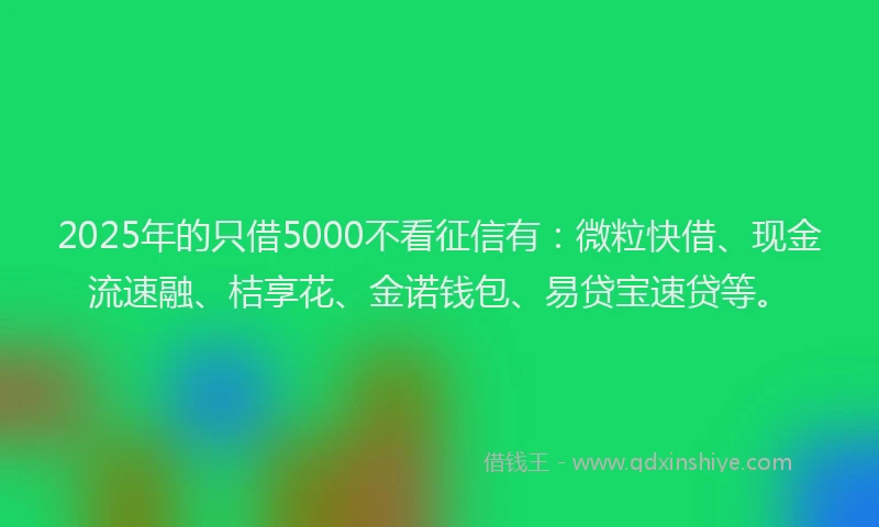 2025年的只借5000不看征信有：微粒快借、现金流速融、桔享花、金诺钱包、易贷宝速贷等。