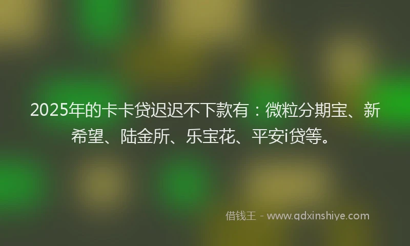 2025年的卡卡贷迟迟不下款有：微粒分期宝、新希望、陆金所、乐宝花、平安i贷等。