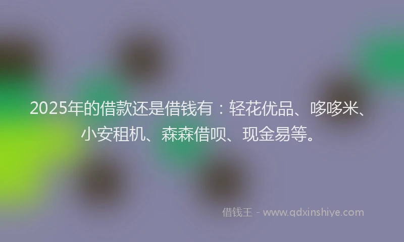 2025年的借款还是借钱有：轻花优品、哆哆米、小安租机、森森借呗、现金易等。