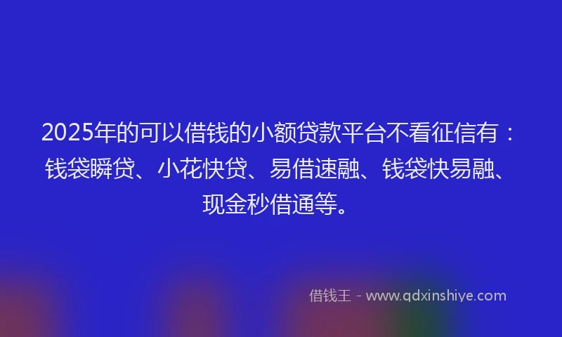 2025年的可以借钱的小额贷款平台不看征信有：钱袋瞬贷、小花快贷、易借速融、钱袋快易融、现金秒借通等。