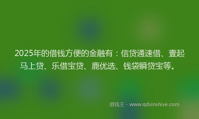 2025年的借钱方便的金融有：信贷通速借、壹起马上贷、乐借宝贷、鹿优选、钱袋瞬贷宝等。