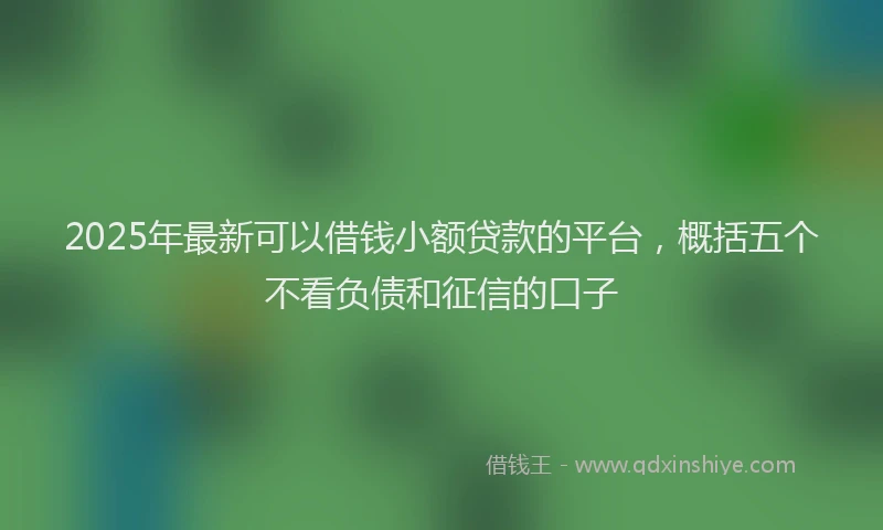 2025年最新可以借钱小额贷款的平台，概括五个不看负债和征信的口子