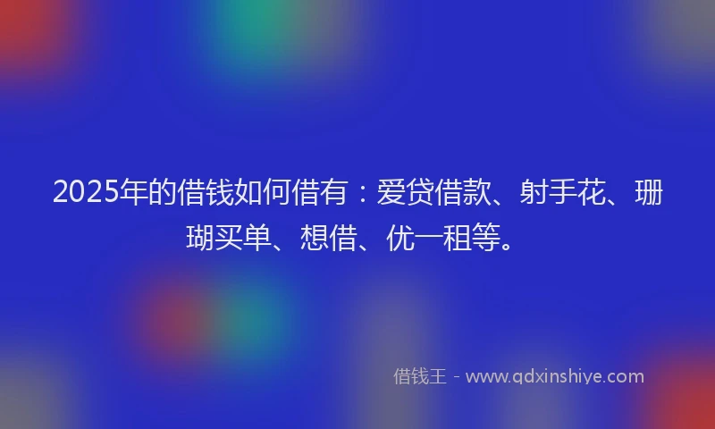 2025年的借钱如何借有：爱贷借款、射手花、珊瑚买单、想借、优一租等。