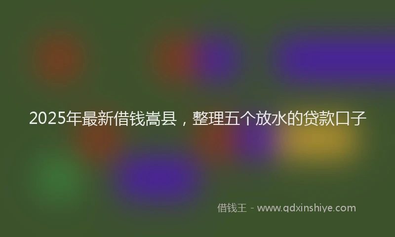 2025年最新借钱嵩县，整理五个放水的贷款口子