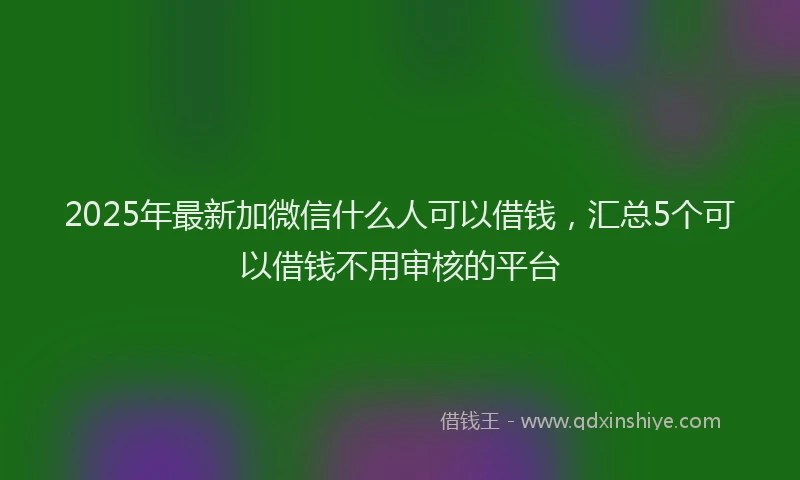 2025年最新加微信什么人可以借钱，汇总5个可以借钱不用审核的平台