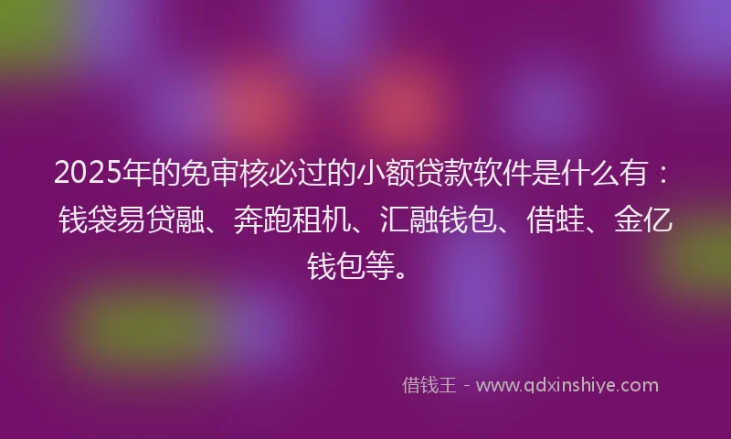 2025年的免审核必过的小额贷款软件是什么有：钱袋易贷融、奔跑租机、汇融钱包、借蛙、金亿钱包等。