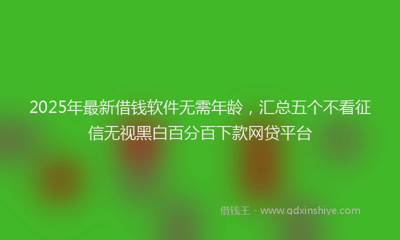 2025年最新借钱软件无需年龄，汇总五个不看征信无视黑白百分百下款网贷平台