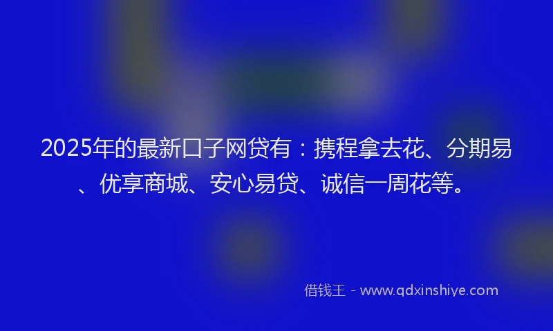 2025年的最新口子网贷有：携程拿去花、分期易、优享商城、安心易贷、诚信一周花等。