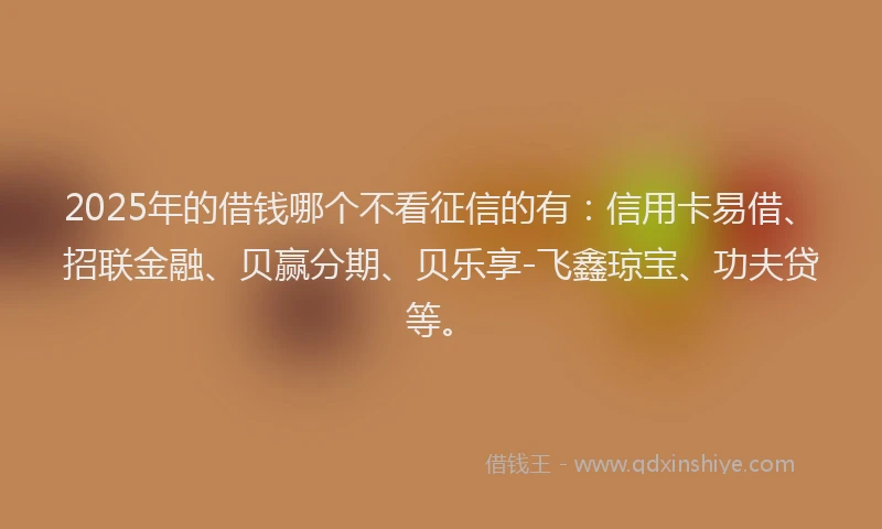 2025年的借钱哪个不看征信的有：信用卡易借、招联金融、贝赢分期、贝乐享-飞鑫琼宝、功夫贷等。