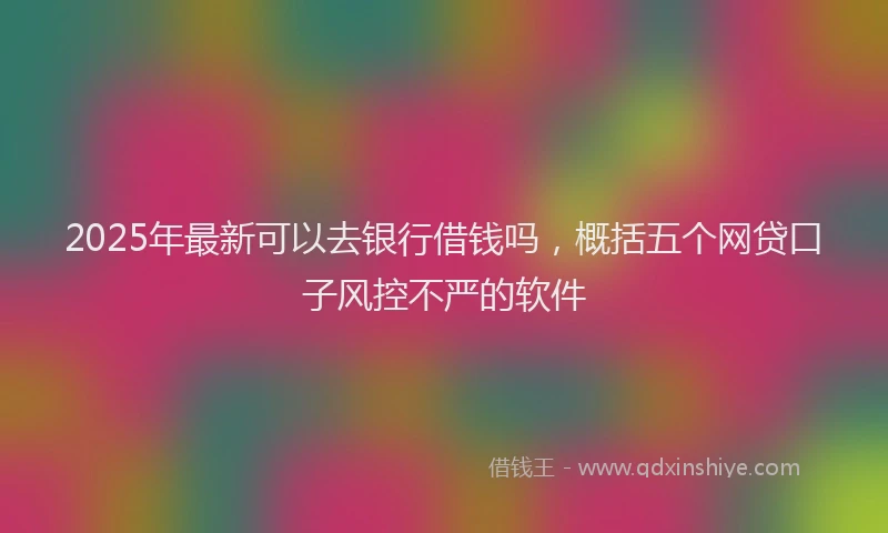 2025年最新可以去银行借钱吗，概括五个网贷口子风控不严的软件