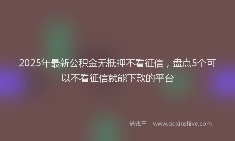 2025年最新公积金无抵押不看征信，盘点5个可以不看征信就能下款的平台