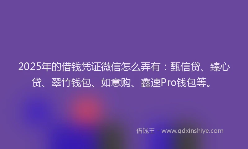2025年的借钱凭证微信怎么弄有：甄信贷、臻心贷、翠竹钱包、如意购、鑫速Pro钱包等。