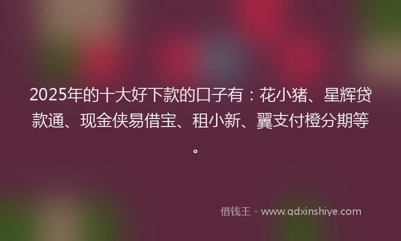 2025年的十大好下款的口子有：花小猪、星辉贷款通、现金侠易借宝、租小新、翼支付橙分期等。