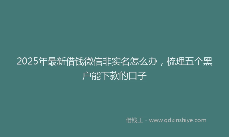 2025年最新借钱微信非实名怎么办，梳理五个黑户能下款的口子